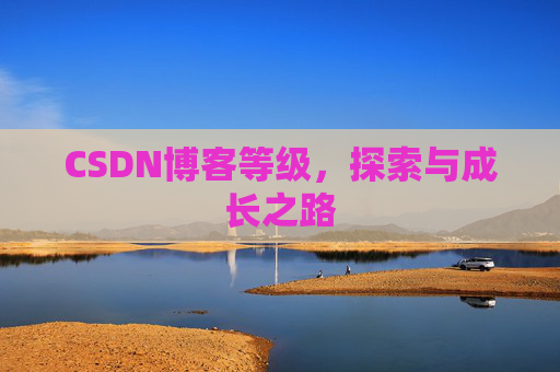 CSDN博客等级,探索与成长之路